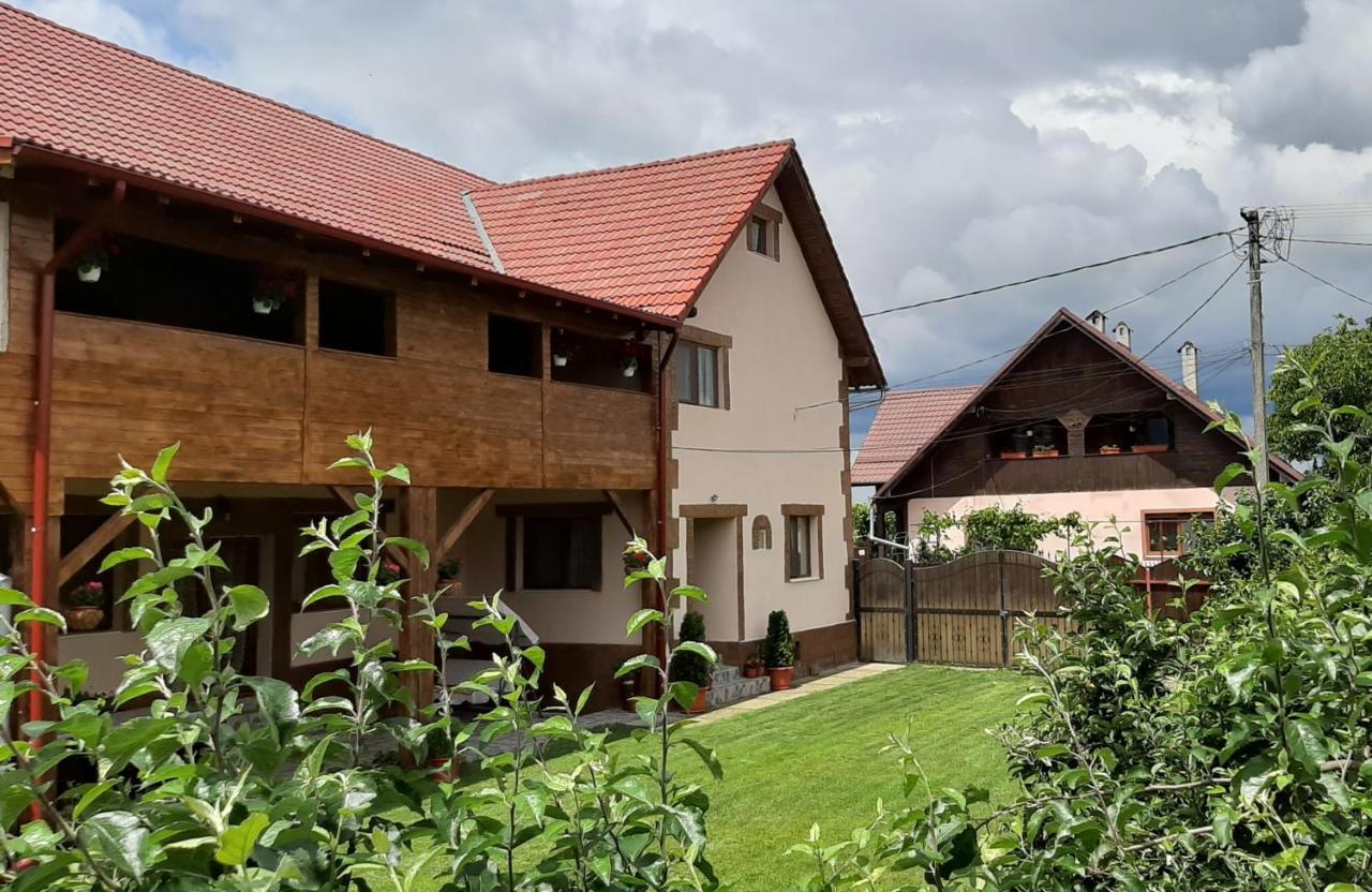 Pensjonat Casa Monica Dragus Zewnętrze zdjęcie