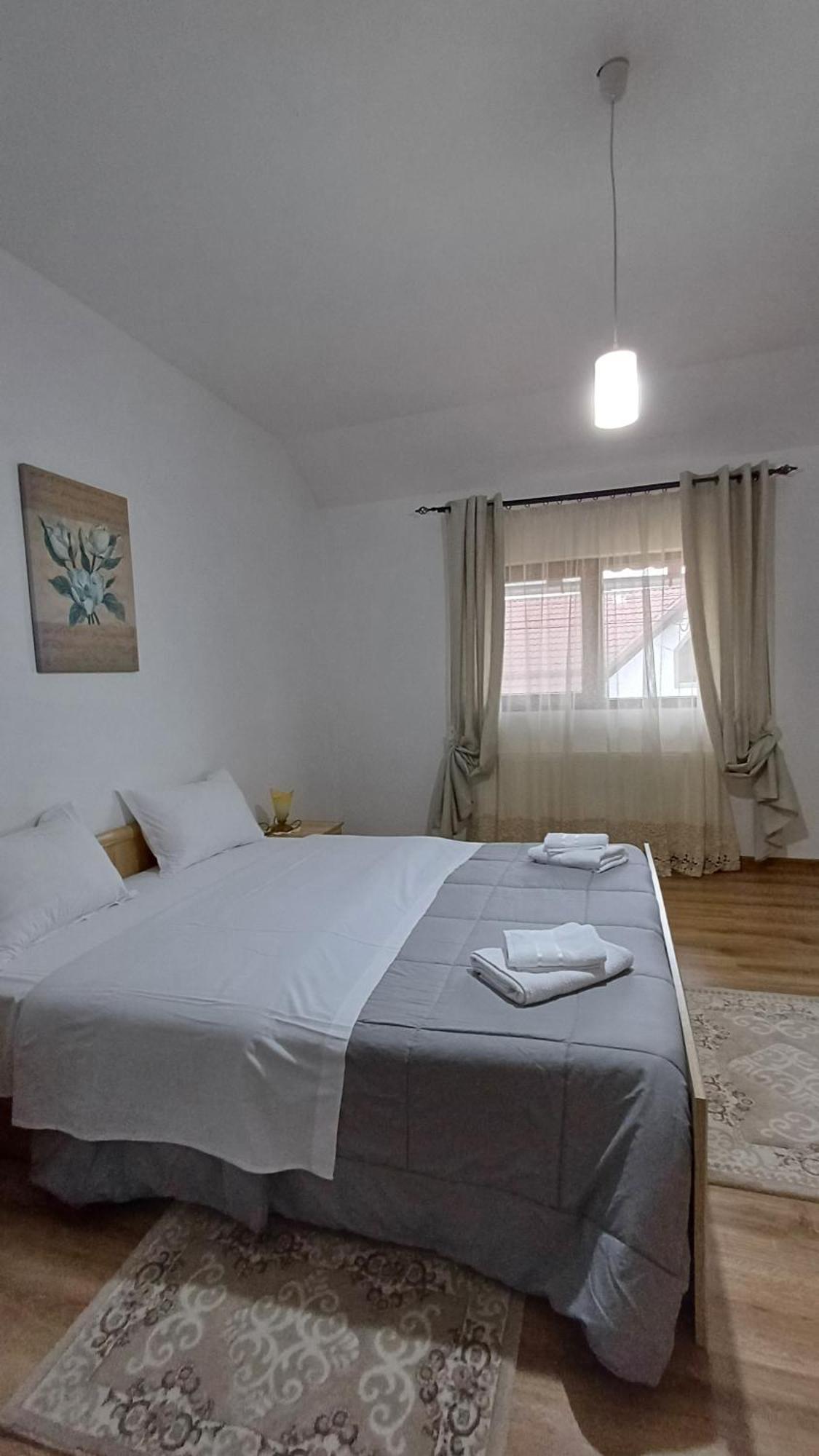Pensjonat Casa Monica Dragus Zewnętrze zdjęcie